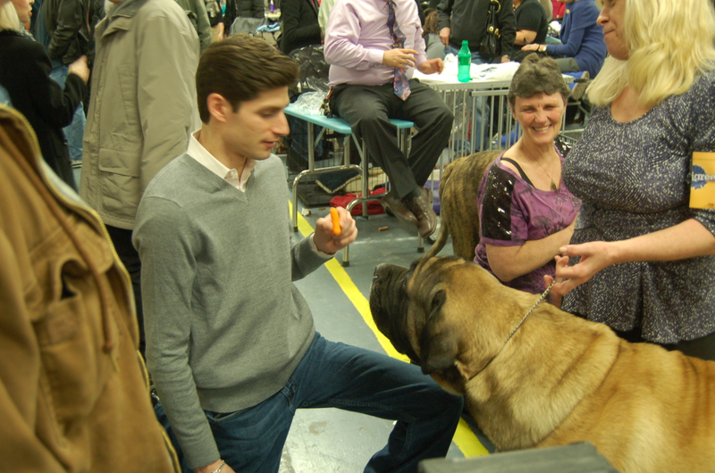 Illustration for article titled Calling Off The Dogs: Day 2 At Westminster